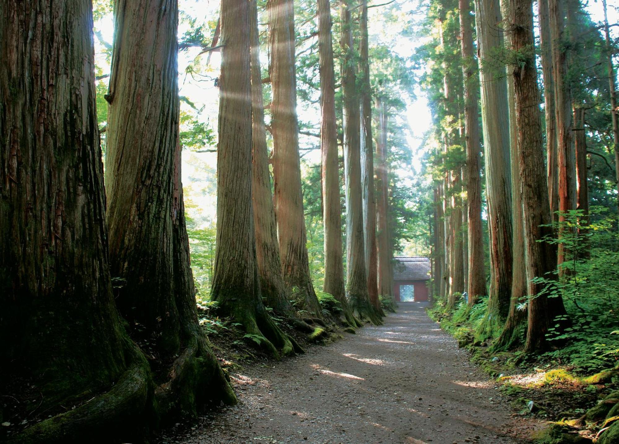 Fukeikan 風景館 Takayama  Ngoại thất bức ảnh